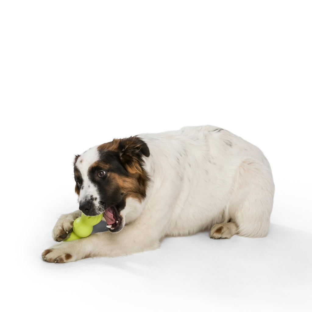 West Paw Zogoflex Rumpus Dog Chew Toy, Small 5.25", Granny Smith – Floatable, Tough, Dishwasher-Safe