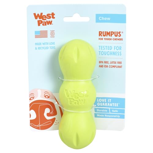 West Paw Zogoflex Rumpus Dog Chew Toy, Small 5.25", Granny Smith – Floatable, Tough, Dishwasher-Safe