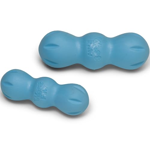 West Paw Zogoflex Rumpus Dog Toy (Small, Aqua Blue) - Floatable, Tough Chew Toy for Aggressive Chewers