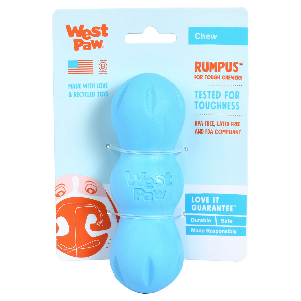 West Paw Zogoflex Rumpus Dog Toy (Small, Aqua Blue) - Floatable, Tough Chew Toy for Aggressive Chewers