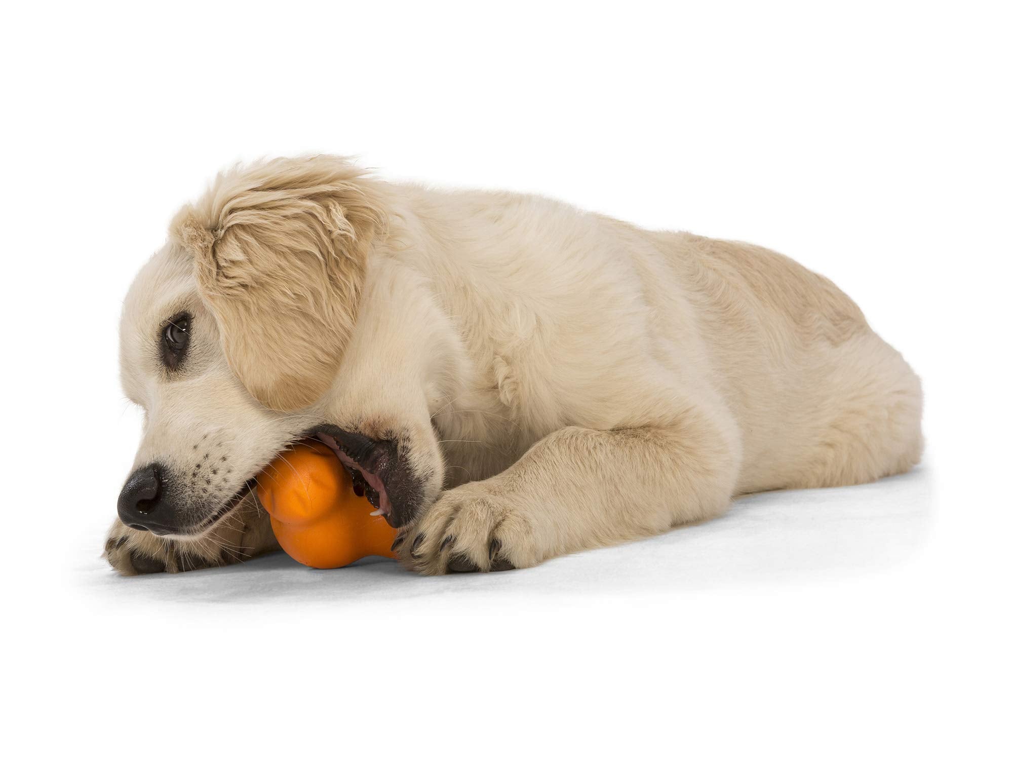 West Paw Zogoflex Tux Interactive Dog Chew Toy – Small, Tangerine, for Aggressive Chewers