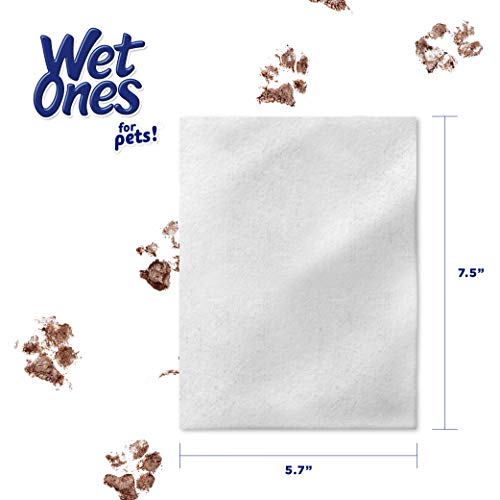 Wet Ones for Pets Multipurpose Dog Wipes - Aloe Vera, Tropical Splash, 100 Count (Pack of 3)