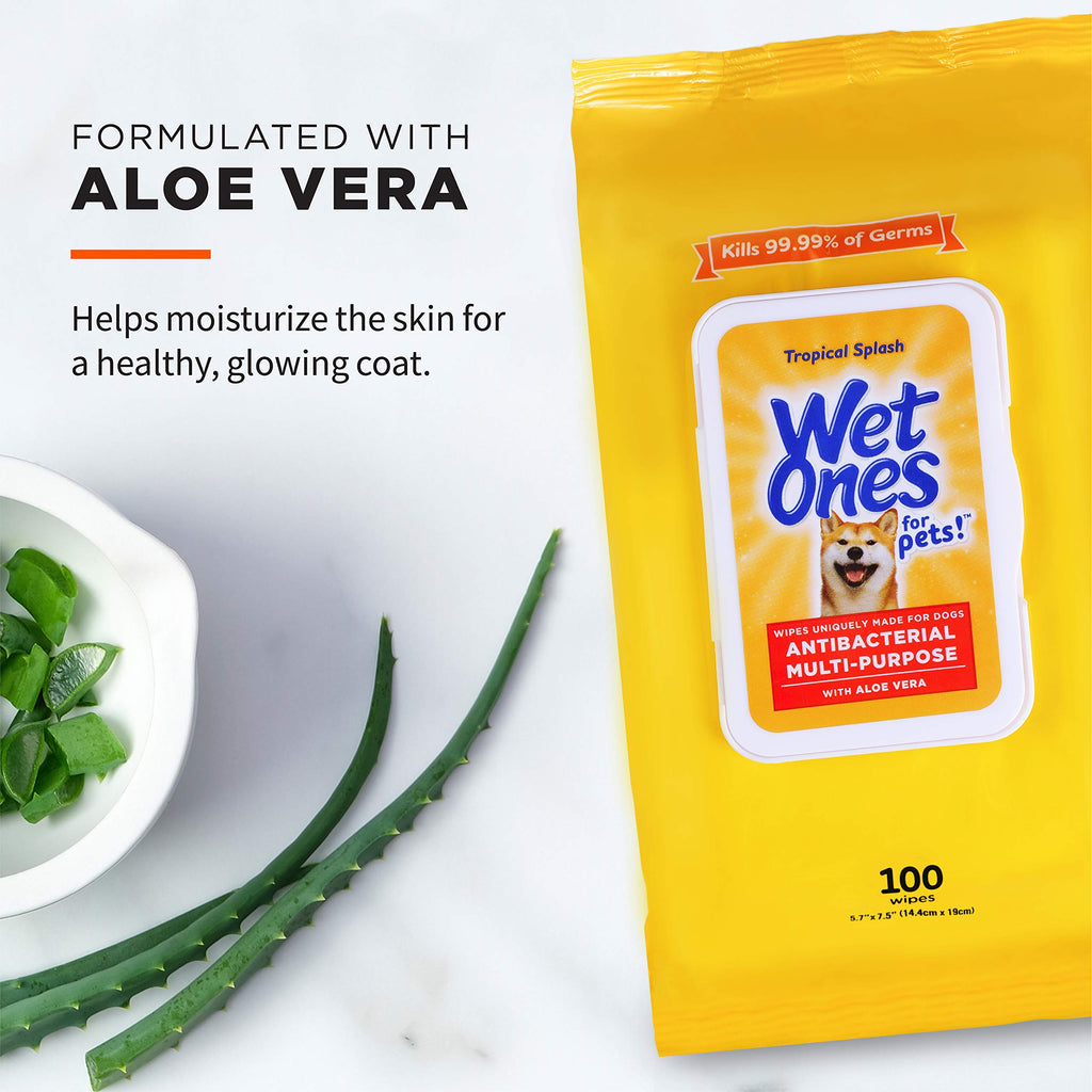 Wet Ones for Pets Multipurpose Dog Wipes - Aloe Vera, Tropical Splash, 100 Count (Pack of 3)