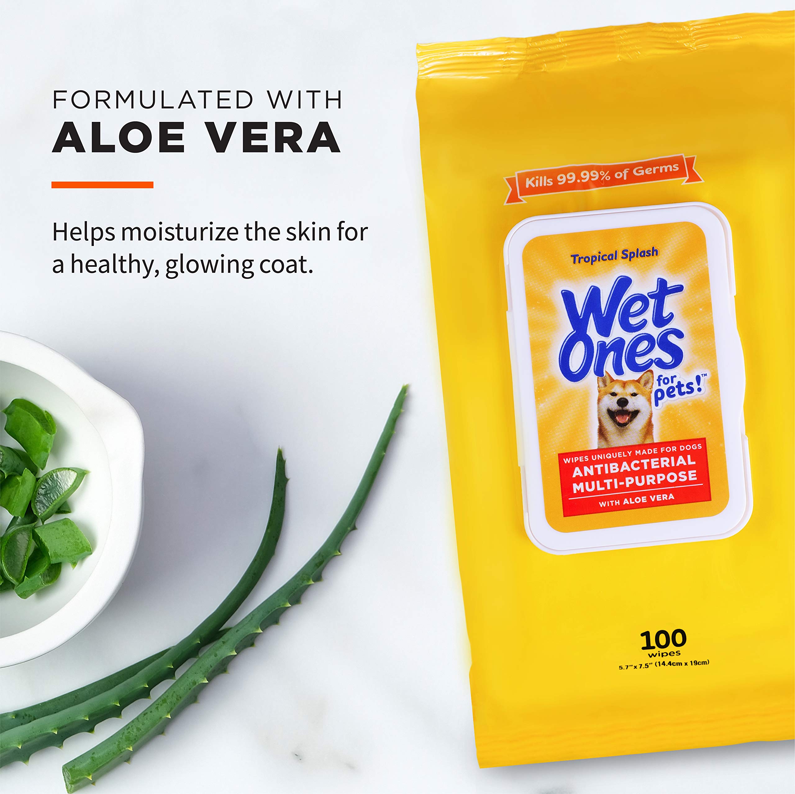 Wet Ones for Pets Multipurpose Dog Wipes - Aloe Vera, Tropical Splash, 100 Count (Pack of 3)