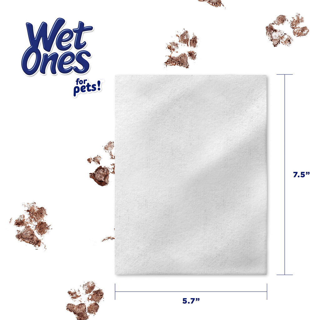 Wet Ones for Pets Multipurpose Dog Wipes - Aloe Vera, Tropical Splash, 100 Count (Pack of 3)
