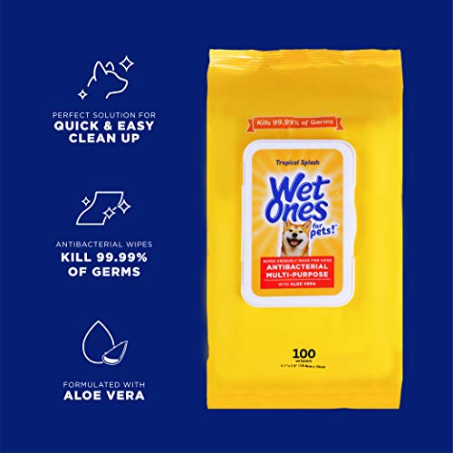 Wet Ones for Pets Multipurpose Dog Wipes - Aloe Vera, Tropical Splash, 100 Count (Pack of 3)