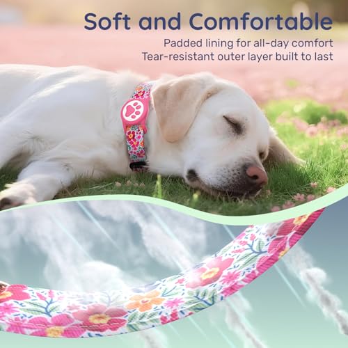 WhoseID Airtag Dog Collar Spring Fiesta - Waterproof Holder, Soft Cotton, Rose Gold Hardware, Adjustable S Small Medium Large