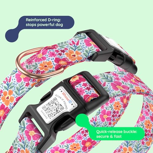 WhoseID Airtag Dog Collar Spring Fiesta - Waterproof Holder, Soft Cotton, Rose Gold Hardware, Adjustable S Small Medium Large