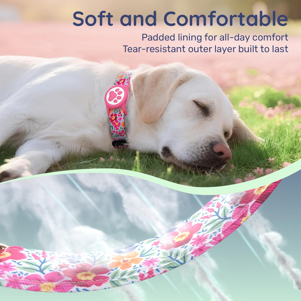 WhoseID Airtag Dog Collar Spring Fiesta - Waterproof Holder, Soft Cotton, Rose Gold Hardware, Adjustable S Small Medium Large