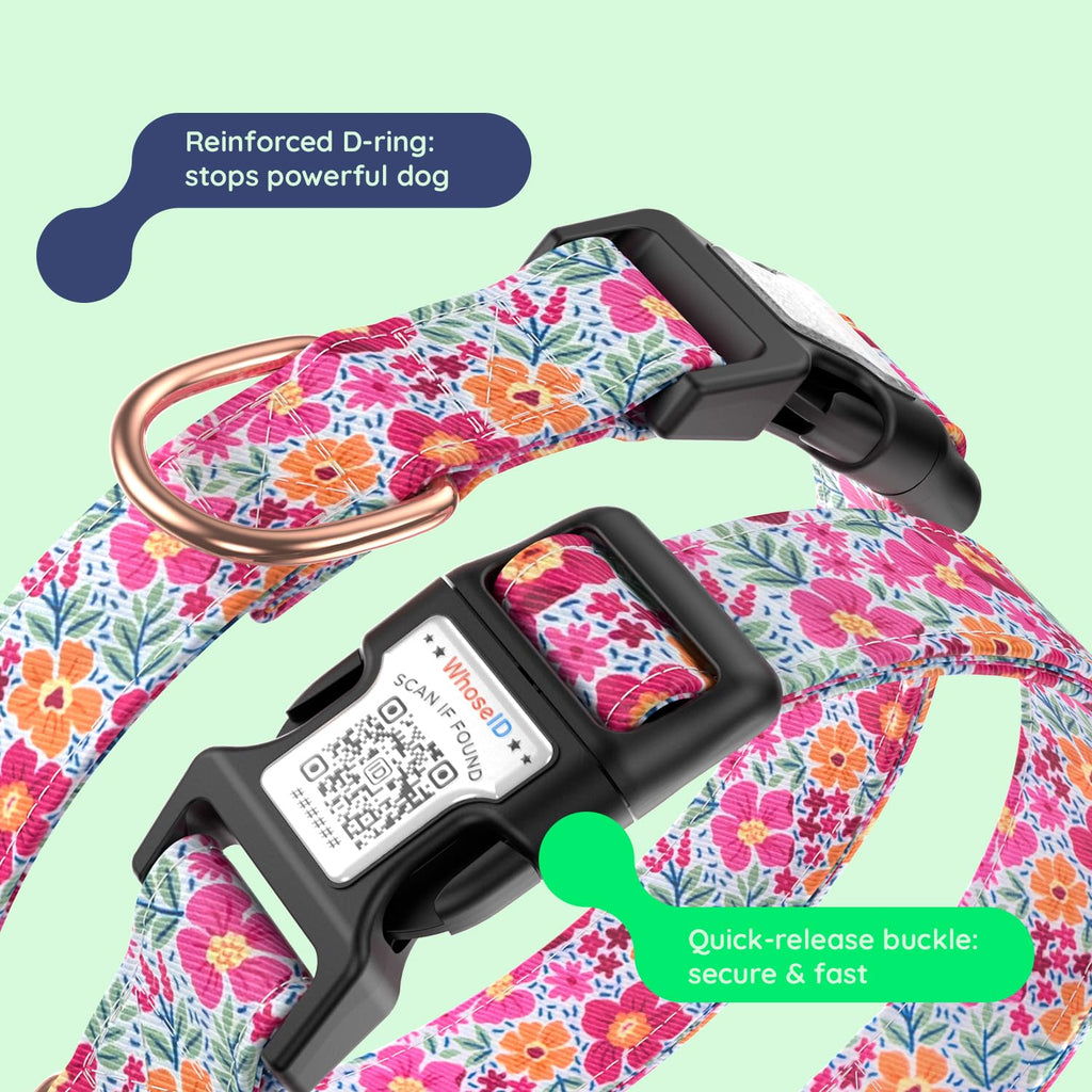 WhoseID Airtag Dog Collar Spring Fiesta - Waterproof Holder, Soft Cotton, Rose Gold Hardware, Adjustable S Small Medium Large