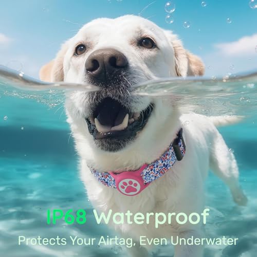 WhoseID Airtag Dog Collar Spring Fiesta - Waterproof Holder, Soft Cotton, Rose Gold Hardware, Adjustable S Small Medium Large