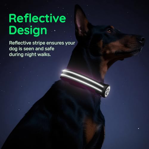 WhoseID Black Reflective Nylon Dog Collar with AirTag Holder & QR Code Buckle - Size Small