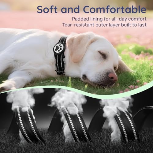 WhoseID Black Reflective Nylon Dog Collar with AirTag Holder & QR Code Buckle - Size Small
