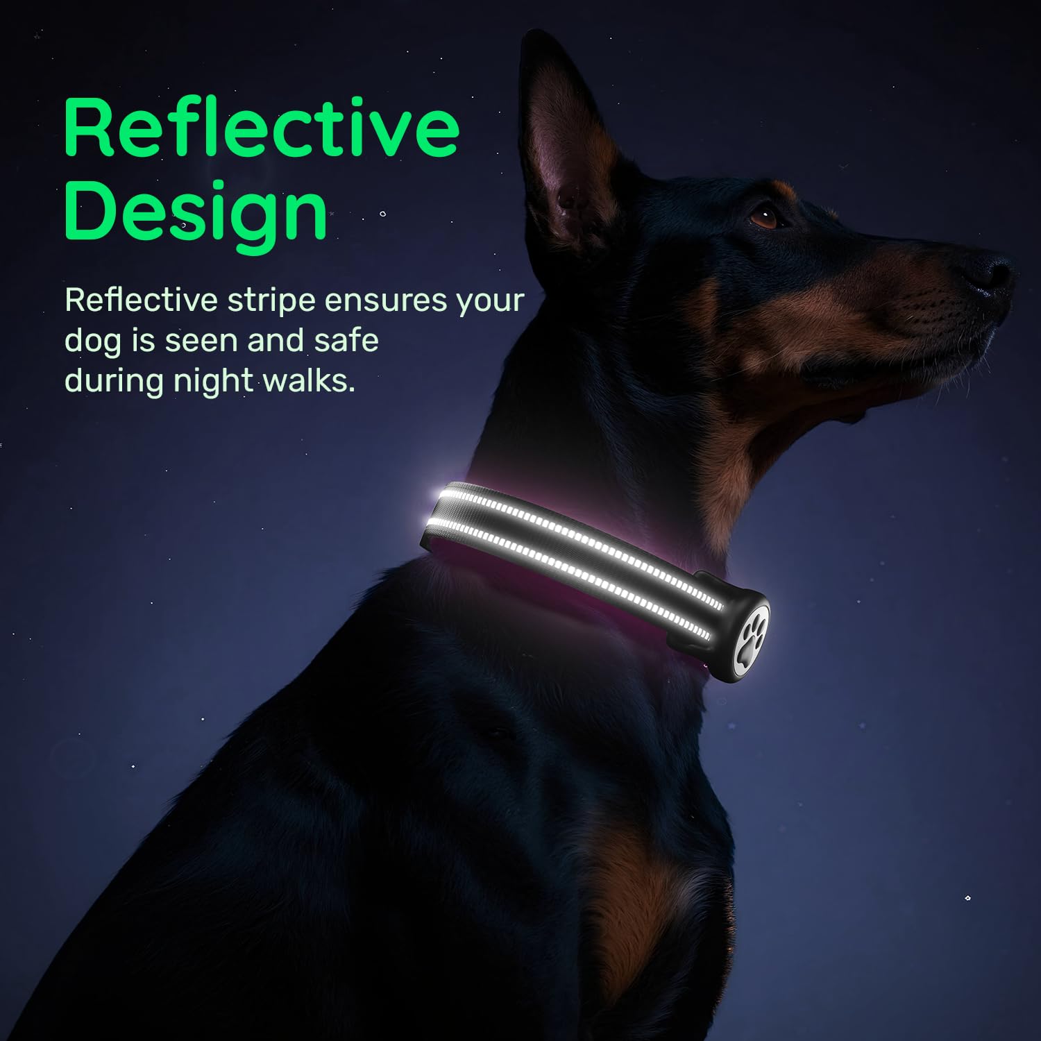 WhoseID Black Reflective Nylon Dog Collar with AirTag Holder & QR Code Buckle - Size Small