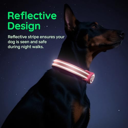 WhoseID Hot Pink Dog Collar with AirTag Holder, Reflective Nylon Padded, IP68 Waterproof, Size M - Safe and Visible