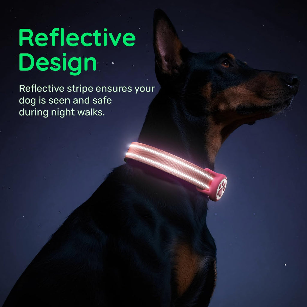 WhoseID Hot Pink Dog Collar with AirTag Holder, Reflective Nylon Padded, IP68 Waterproof, Size M - Safe and Visible