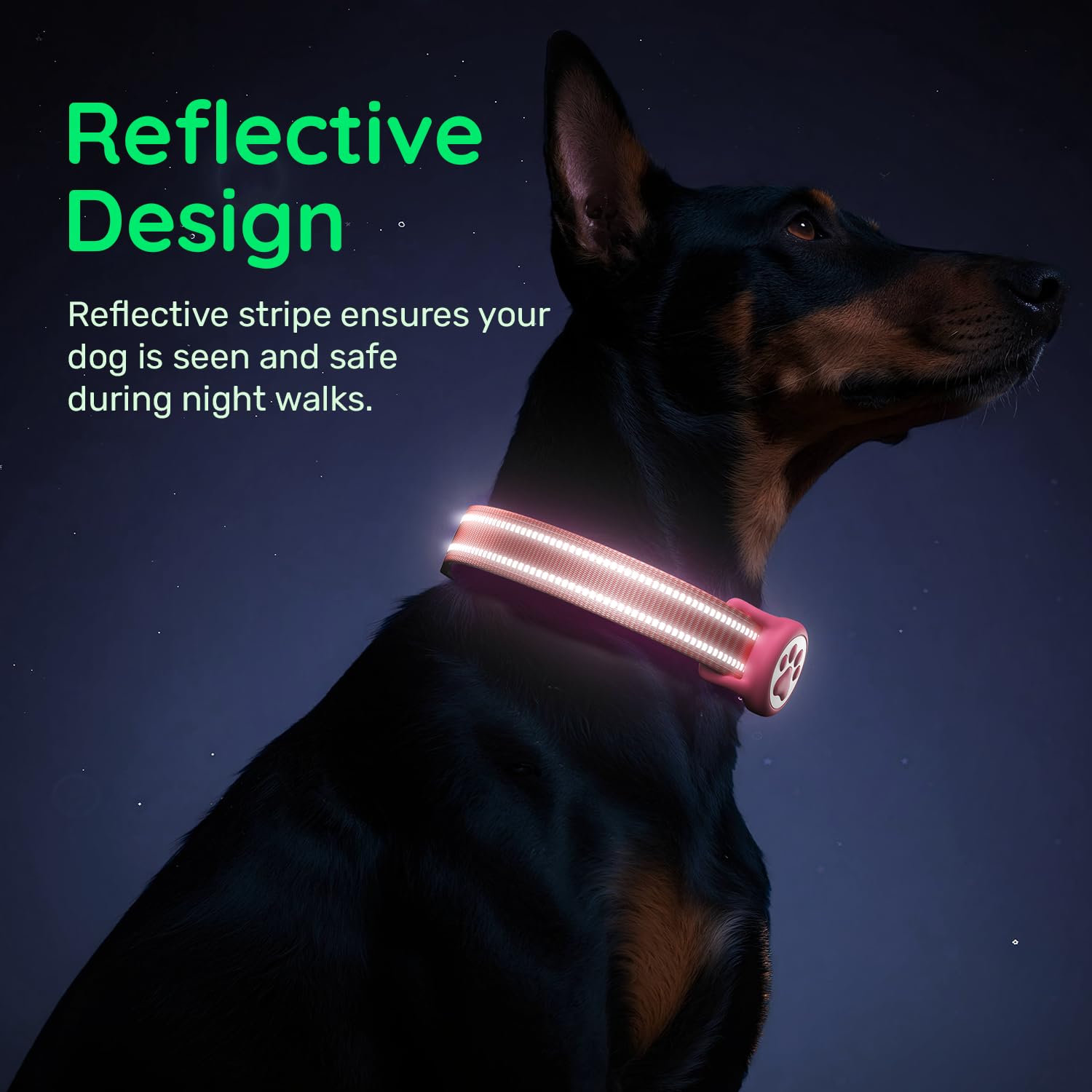 WhoseID Hot Pink Dog Collar with AirTag Holder, Reflective Nylon Padded, IP68 Waterproof, Size M - Safe and Visible