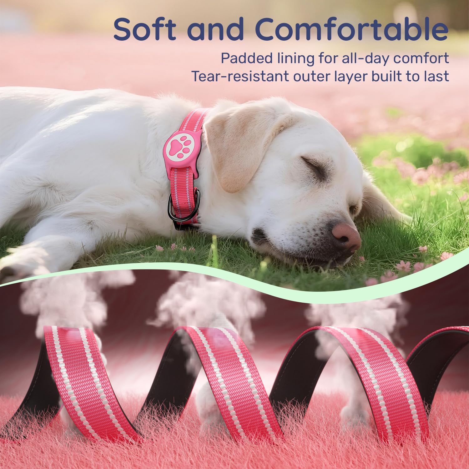 WhoseID Hot Pink Dog Collar with AirTag Holder, Reflective Nylon Padded, IP68 Waterproof, Size M - Safe and Visible