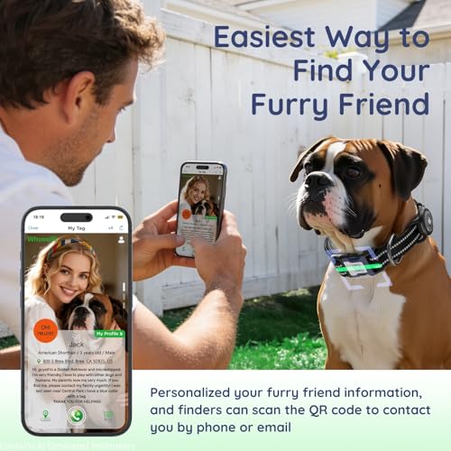 WhoseID Reflective Dog Collar with AirTag Holder - Waterproof, QR Code, Heavy Duty, Black