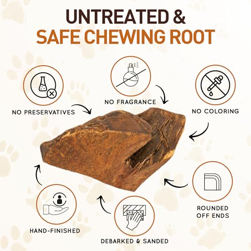 Wildfang Medium Briar Wood Chewing Root for Dogs 33-55 lbs – Natural Heather Root Chew Toy