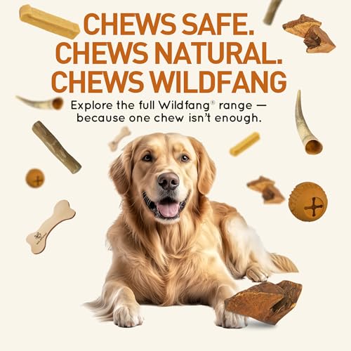 Wildfang Medium Briar Wood Chewing Root for Dogs 33-55 lbs – Natural Heather Root Chew Toy