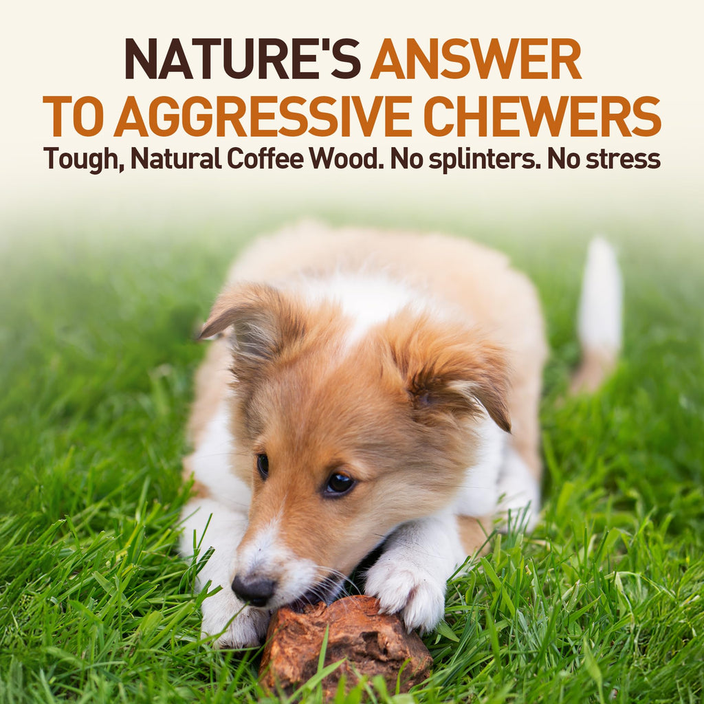 Wildfang Medium Briar Wood Chewing Root for Dogs 33-55 lbs – Natural Heather Root Chew Toy