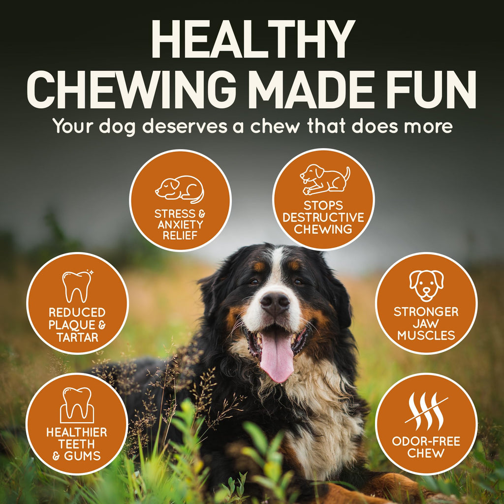 Wildfang Medium Briar Wood Chewing Root for Dogs 33-55 lbs – Natural Heather Root Chew Toy