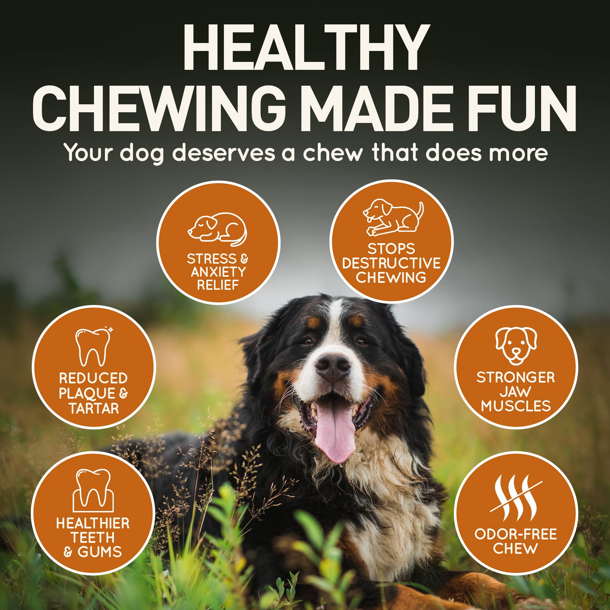 Wildfang Medium Briar Wood Chewing Root for Dogs 33-55 lbs – Natural Heather Root Chew Toy