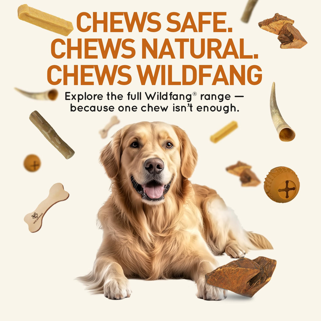 Wildfang Medium Briar Wood Chewing Root for Dogs 33-55 lbs – Natural Heather Root Chew Toy
