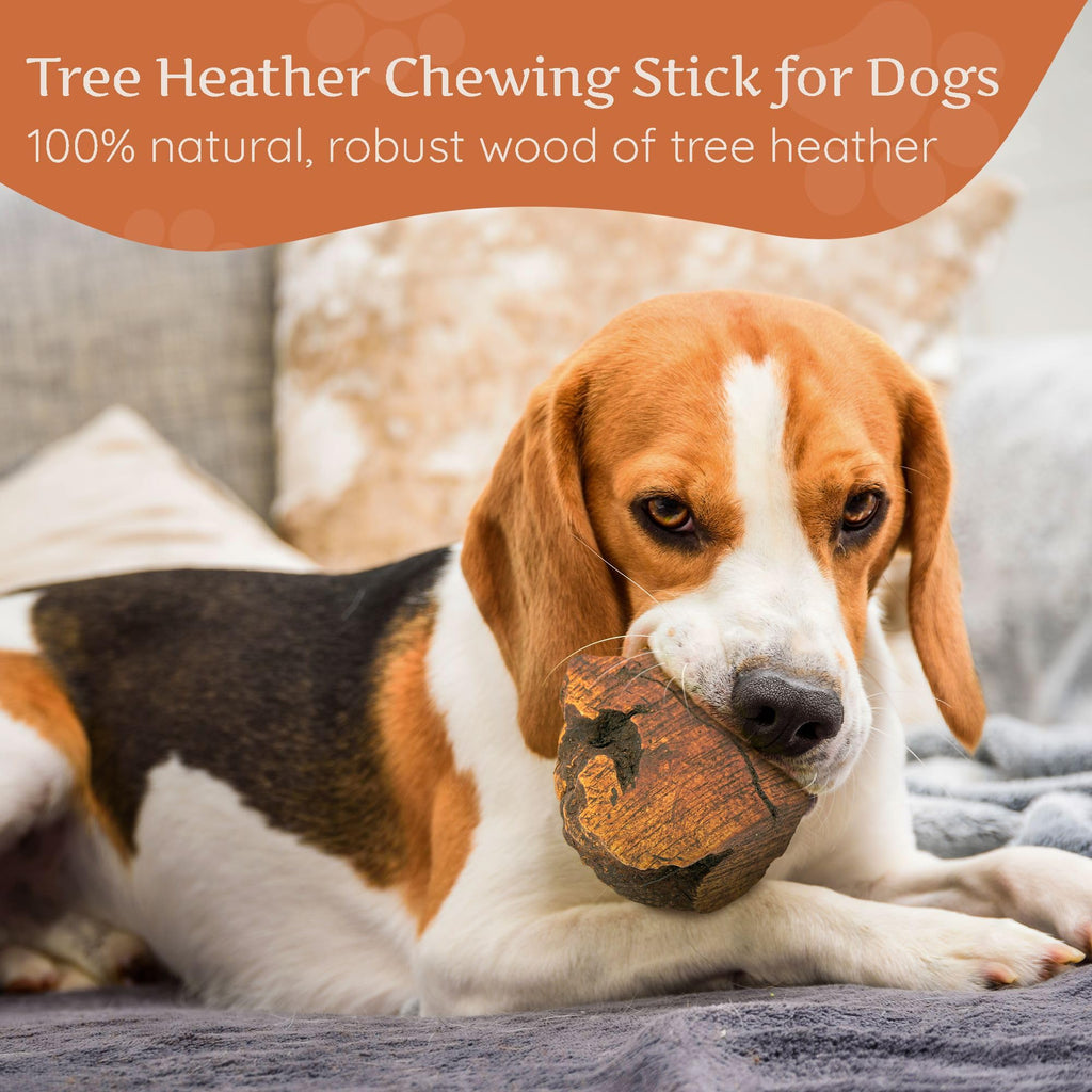 Wildfang Medium Briar Wood Chewing Root for Dogs 33-55 lbs – Natural Heather Root Chew Toy