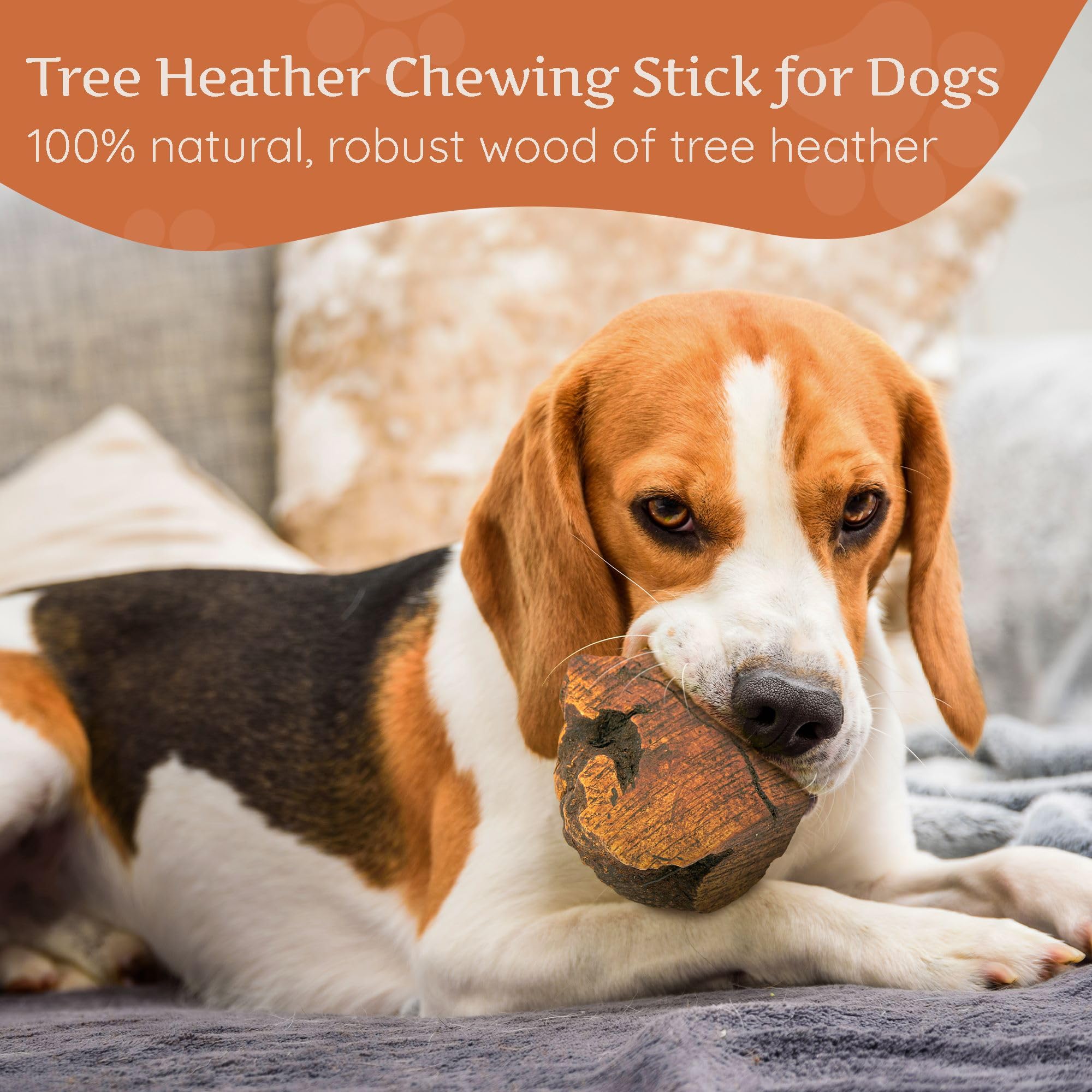 Wildfang Medium Briar Wood Chewing Root for Dogs 33-55 lbs – Natural Heather Root Chew Toy