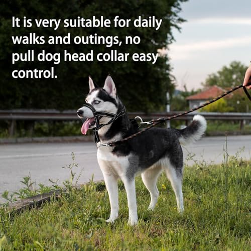 wintchuk Dog Head Collar – Reflective No-Pull Headcollar for Small, Medium & Large Dogs (M, Black)
