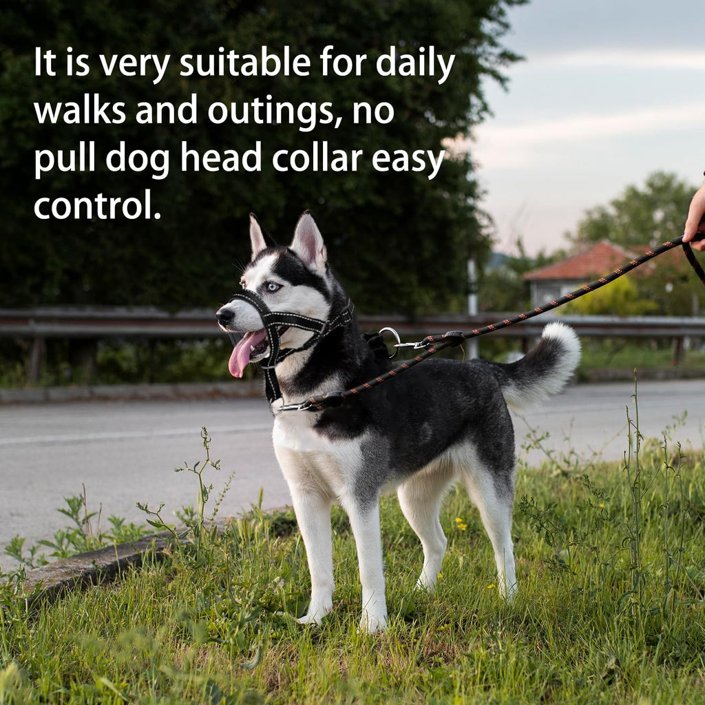 wintchuk Dog Head Collar – Reflective Strap to Stop Pulling, Adjustable, Size L, Black