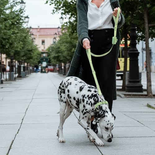 Wisedog Dog Leash with Two Handles - Soft Padded Control with Poop Bag Holder, Adjustable 4.2-5 ft, Heavy Duty for Medium & Large Dogs (Sage Green)