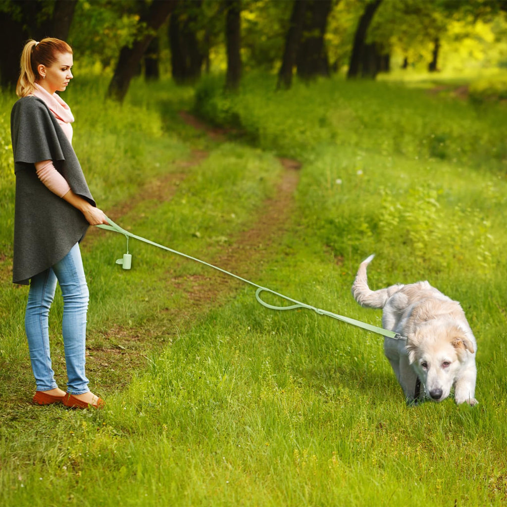 Wisedog Dog Leash with Two Handles - Soft Padded Control with Poop Bag Holder, Adjustable 4.2-5 ft, Heavy Duty for Medium & Large Dogs (Sage Green)