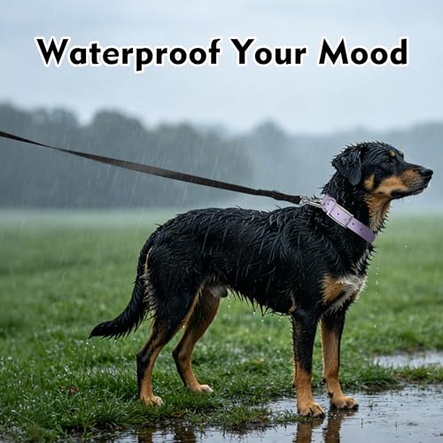 Wisedog Waterproof Dog Leash – 5ft/6ft Adjustable PVC Leash with Metal Swivel Hooks, Easy to Clean, Sand Color M