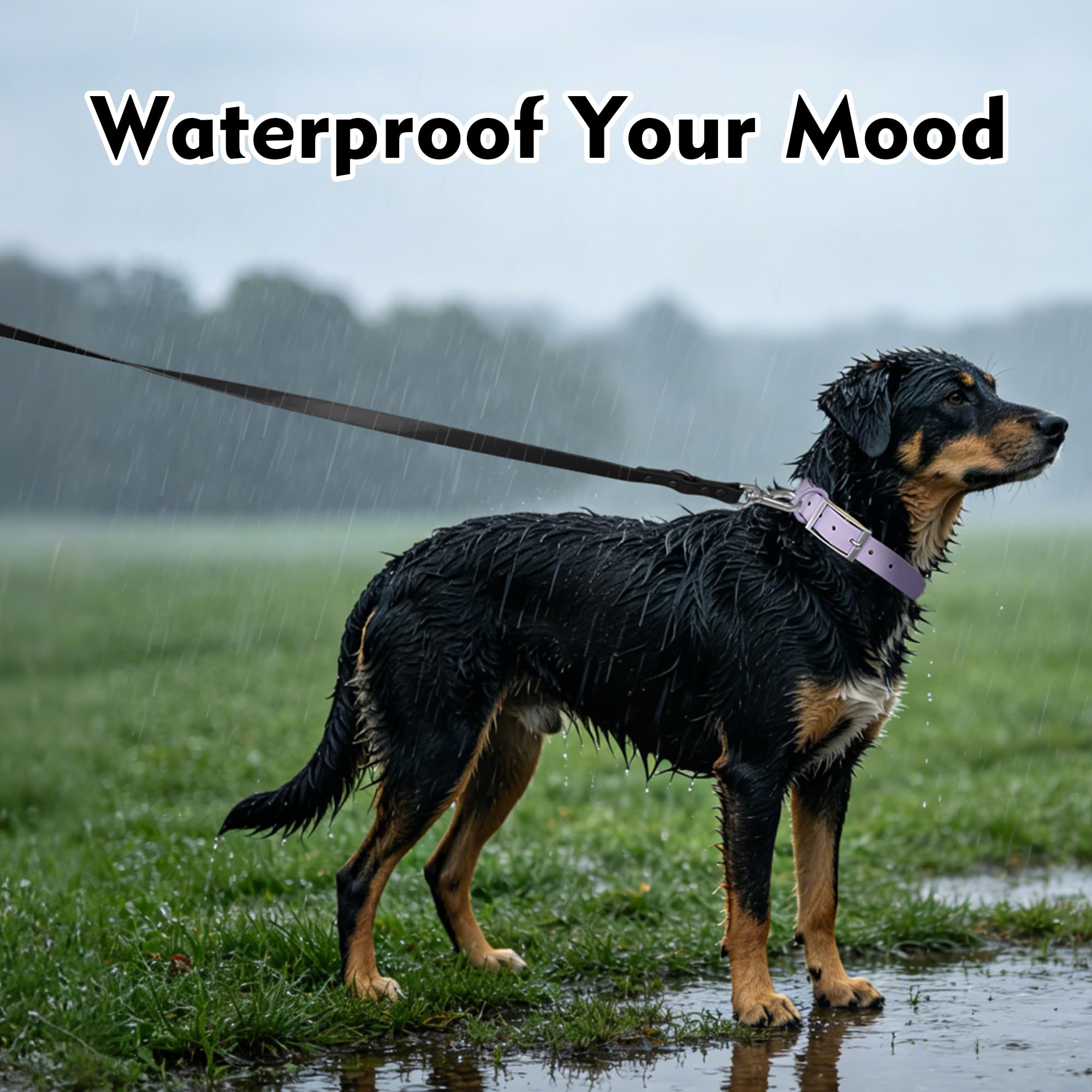 Wisedog Waterproof Dog Leash – 5ft/6ft Adjustable PVC Leash with Metal Swivel Hooks, Easy to Clean, Sand Color M