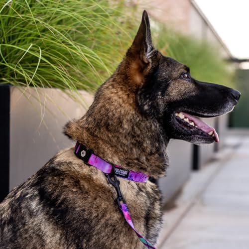 Wolfgang Heavy Duty Adjustable Dog Collar - Daydream Print, Medium (800+ lb Pull Strength)
