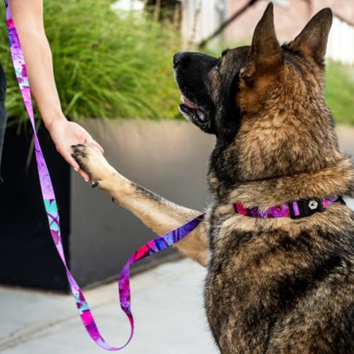 Wolfgang Heavy Duty Adjustable Dog Collar - Daydream Print, Medium (800+ lb Pull Strength)