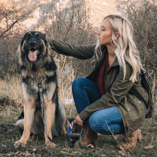 Wolfgang Heavy Duty Adjustable Dog Collar - DigitalDog Print, Medium - Quick Release Nylon Buckle