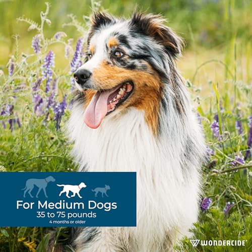 Wondercide Flea & Tick Spot On for Medium Dogs (20–35 lbs) – 3-Month Supply of Peppermint-Scented, Plant-Based Topical Drops