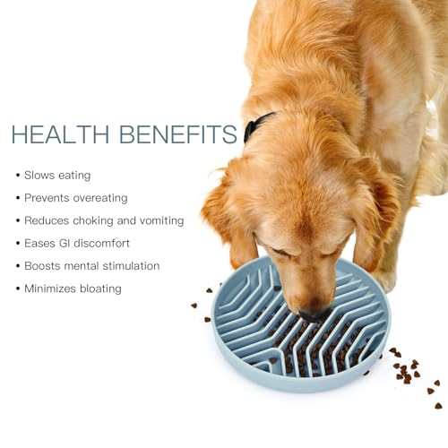 XAQMHSW 2-Pack Silicone Slow Feeder Dog Bowls with Suction Cups - Puzzle Design for Healthy Eating, Anti-Choking, Non-Slip, for Small & Medium Dogs and Cats