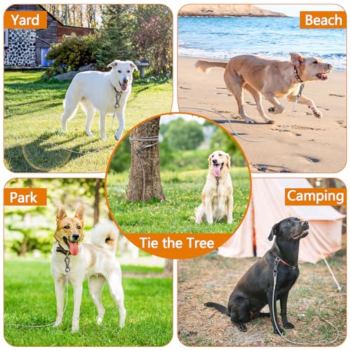 XiaZ 30ft Heavy Duty Dog Tie Out Cable – Stainless Steel Tether with Lockable Clips for Yard Use (For Dogs Up to 60 lbs)