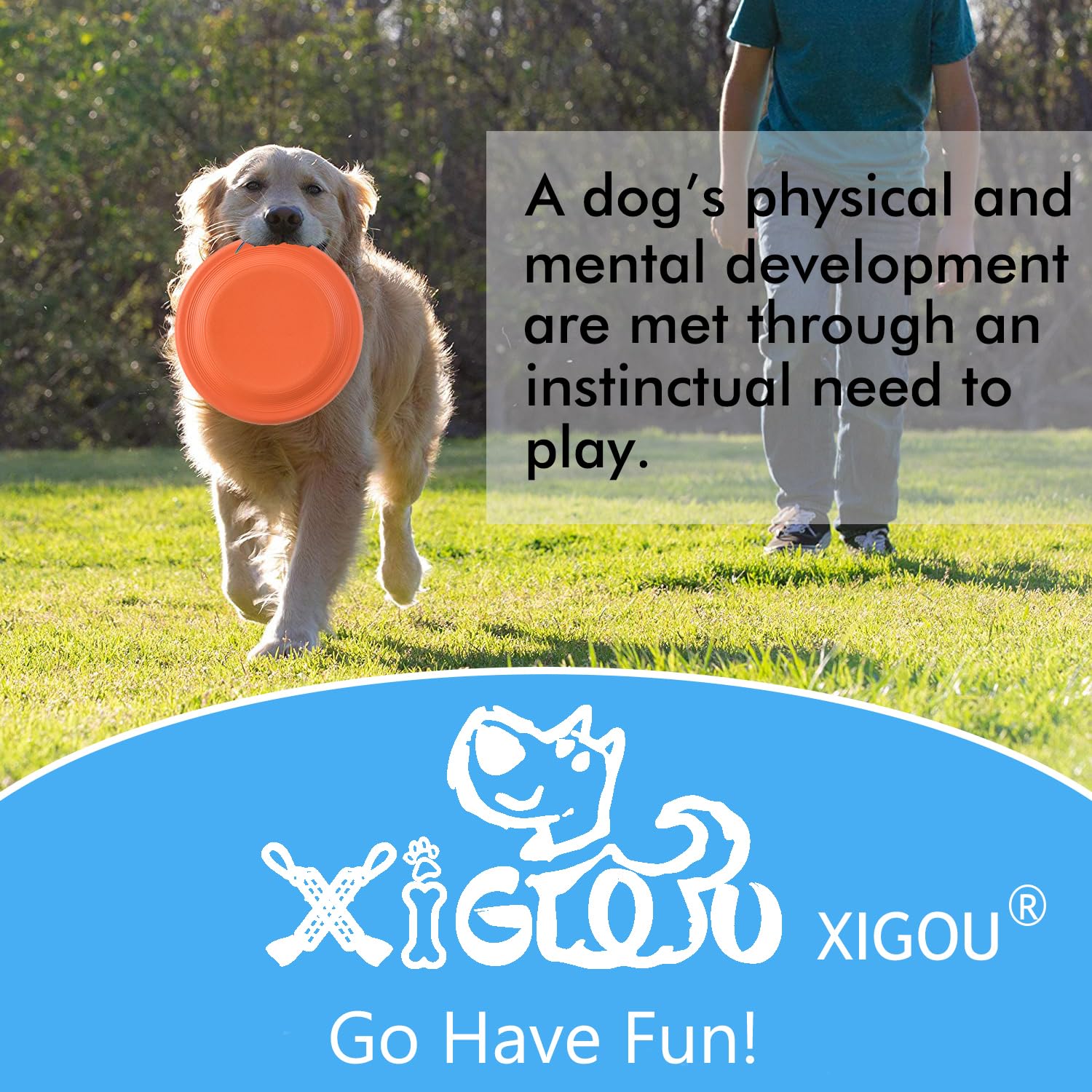 XIGOU Dog Flying Disc 2-Pack – Durable 9.25" EVA Fetch Toy for Medium Large Dogs