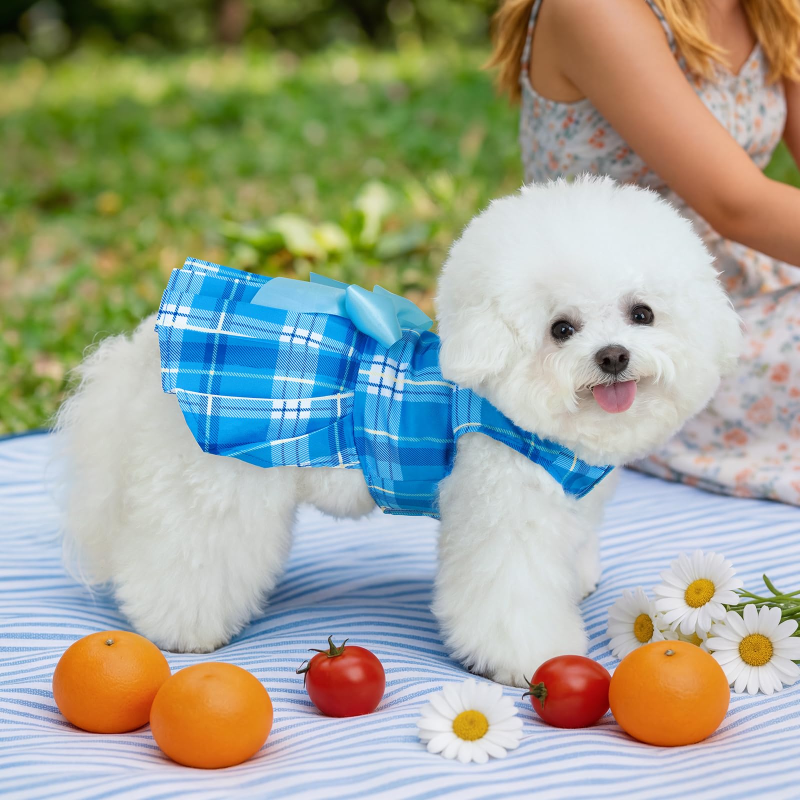 XPUDAC 4-Pack Plaid Dog Dresses for Small Dogs - Bowknot Puppy Outfits for Spring/Summer, Size S (Pink & Purple)