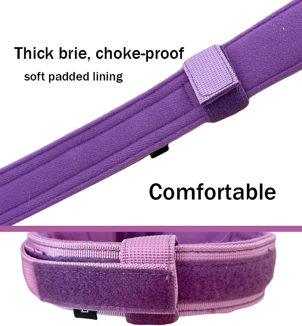 Xqpetlihai Purple Tactical Dog Collar - Adjustable Military Nylon with Control Handle and Heavy Duty Metal Buckle for Medium & Large Dogs Size L