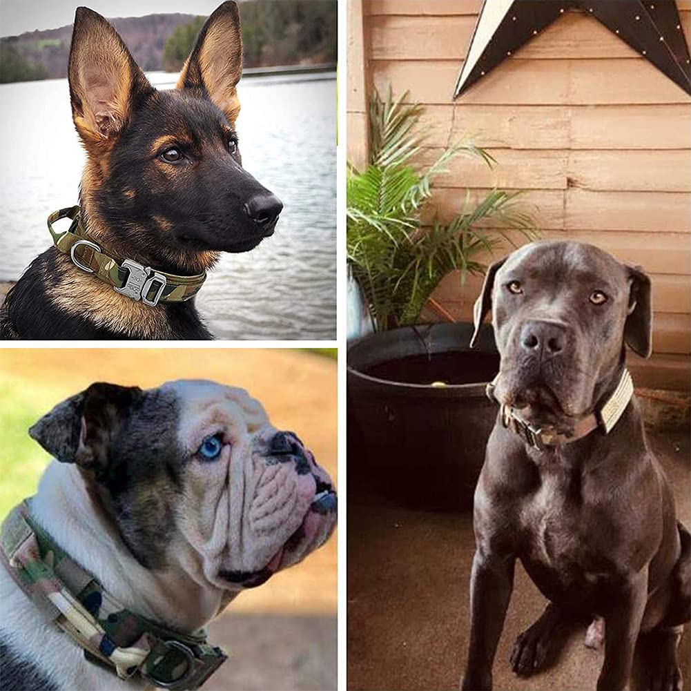 Xqpetlihai Tactical Dog Collar Camo – Adjustable Military Nylon with Control Handle for Medium & Large Dogs (Size M)