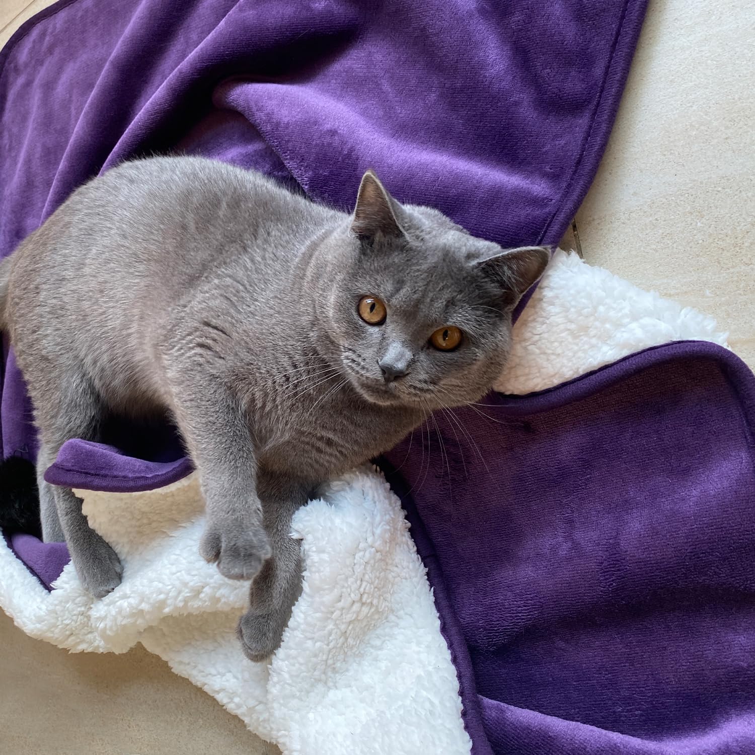 Yaning Waterproof Pet Blanket - Dark Purple 30x40 inches, Reversible Sherpa Flannel for Dogs Cats