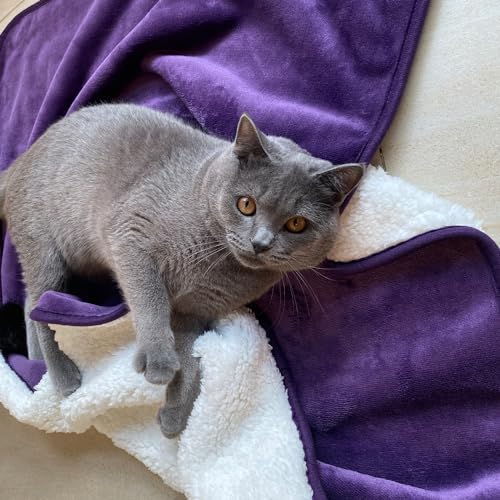 Yaning Waterproof Pet Blanket - Dark Purple 30x40 inches, Reversible Sherpa Flannel for Dogs Cats