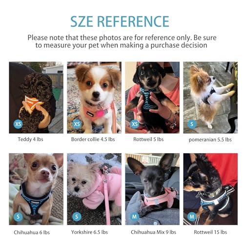 YIMEIS Dog Harness and Leash Set for Small Dogs - Reflective Honeycomb Grid, Adjustable, Size M, Black